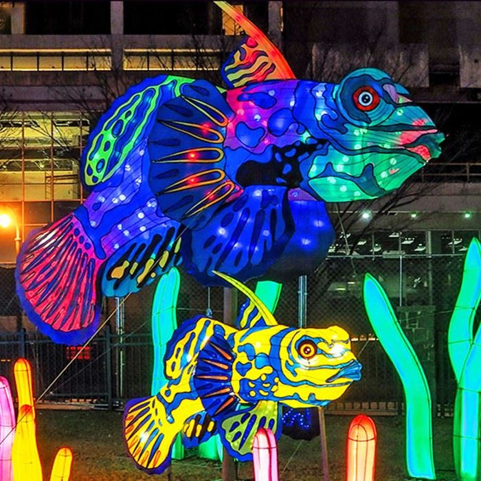 Event Planning Lantern Display